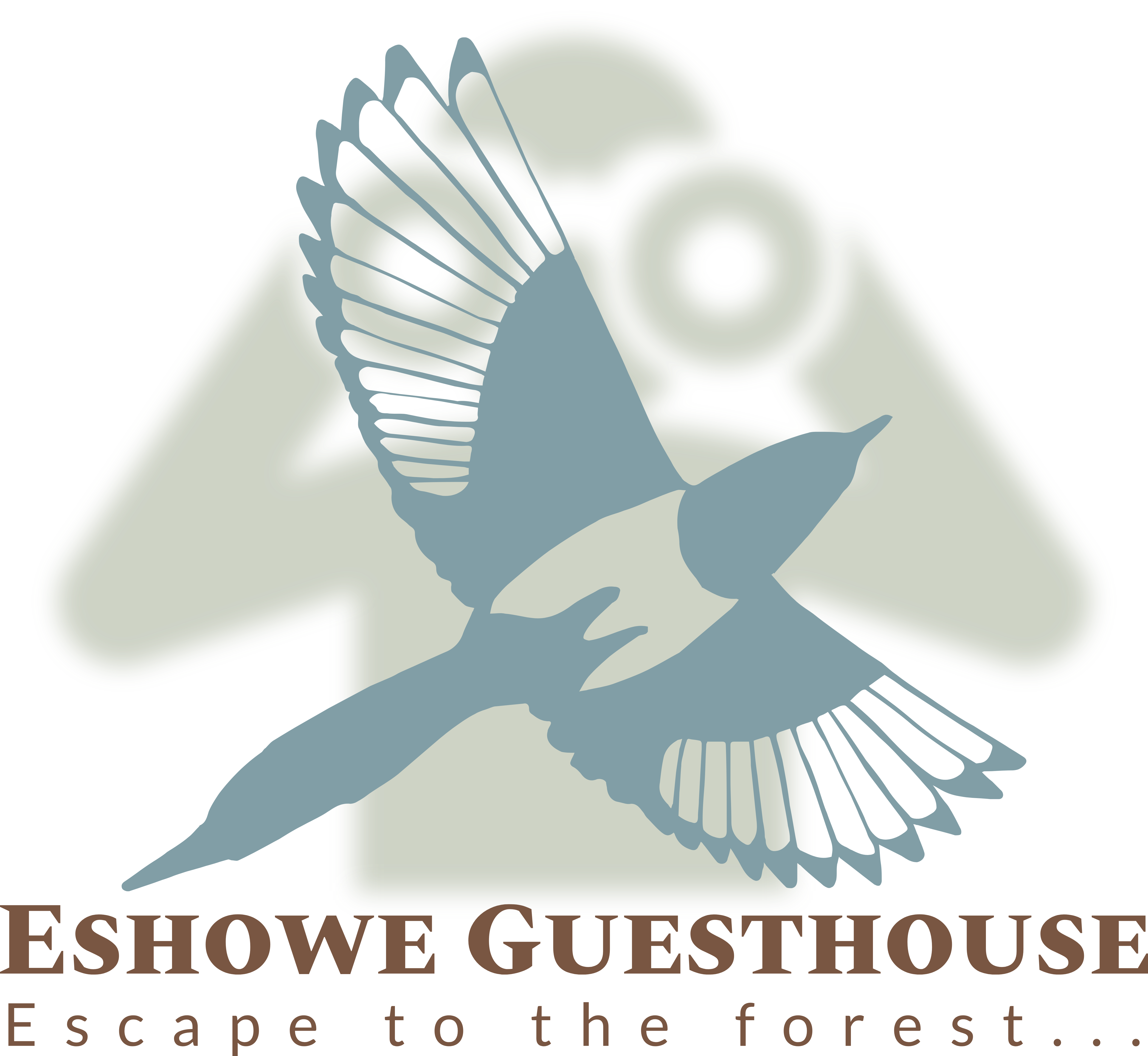 Eshowe Guesthouse